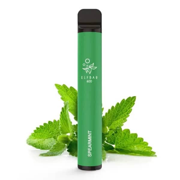 Elfbar 600 Einweg Eshisha Spearmint