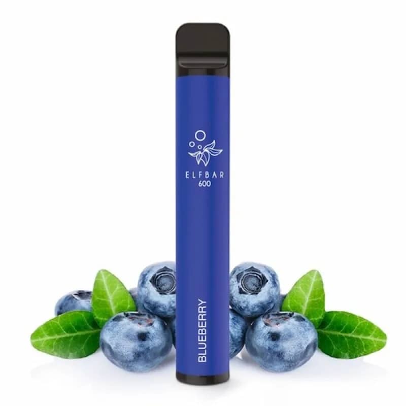 Elfbar 600 Eshisha Blueberry