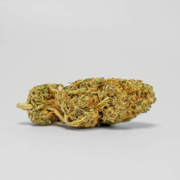 Ottmann Orange Gelato CBD 2g