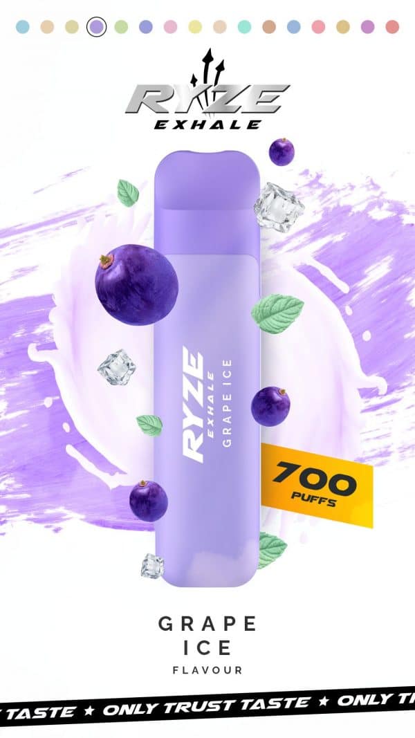 RYZE EXHALE 700 Züge Grape Ice