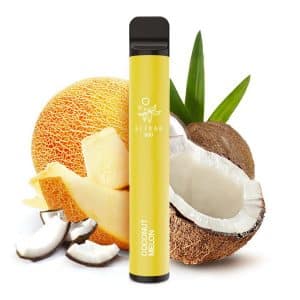 Elf bar 600 Einweg Eshisha Coconut Melon